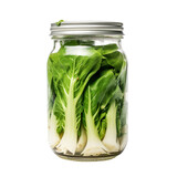 Front view of cut bok choy vegetable in a jar isolated on a white transparent background