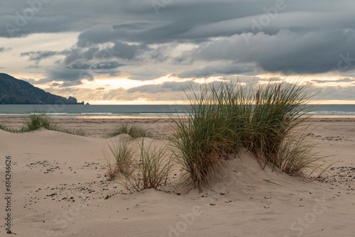 Tuft of beach grass at Tramore beach at dusk photo