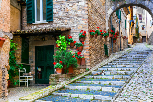 Traditional medieval villages of Italy - picturesque old floral streets of Casperia, Rieti province.