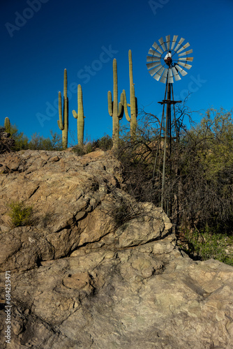 Saguaro Cactus and Wind Mill photo