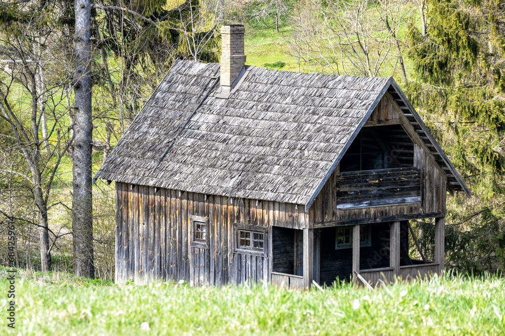 a small wooden house in the middle of the forest among greens and trees
a small wooden house in the middle of the forest among greens and trees