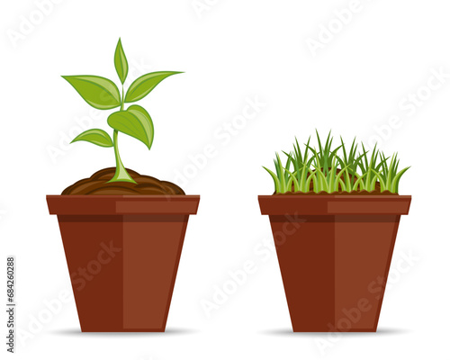 Set of green plants in pots. Grass in a flower pot. A young plant in a flower pot. Vector illustration
