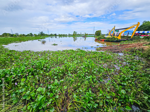 Many water hyacinth weeds are blocking the water canal.