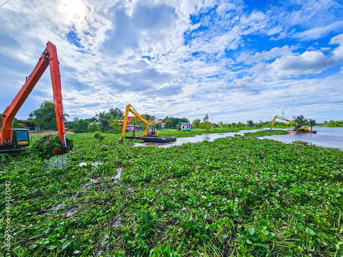 Eliminate water hyacinths that block water canals in Thailand.