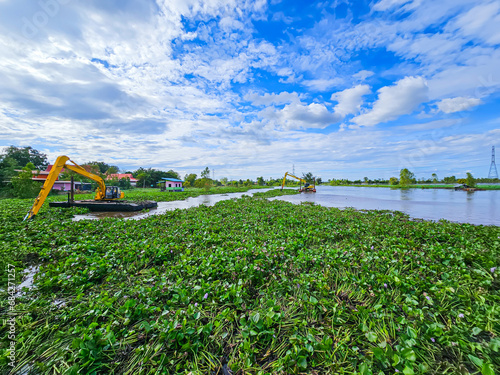 Eliminate water hyacinths that block water canals in Thailand.
