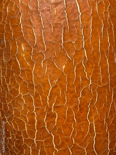 The orange-brown cracked surface of the skin of a fruit