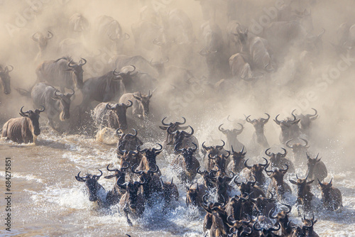 1000 Wildebeests