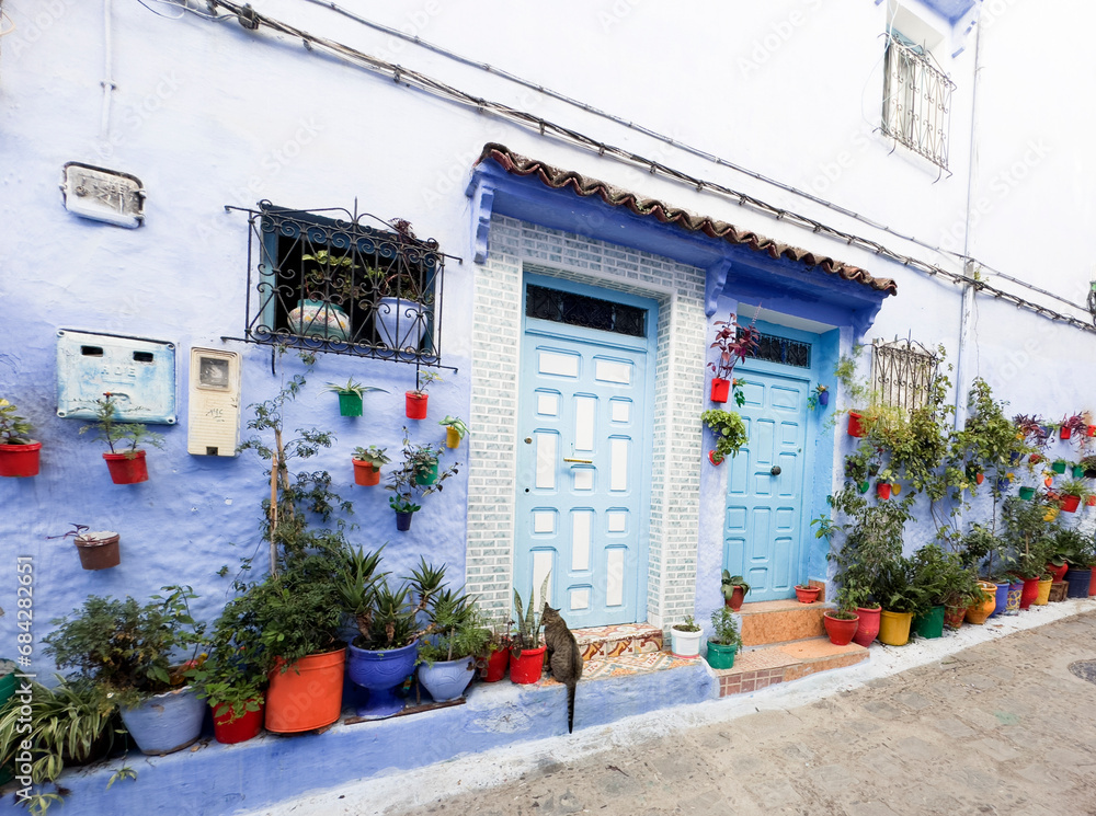 Fototapeta premium Blue-white houses, doors and streets of Chefchaouen