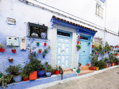 Blue-white houses, doors and streets of Chefchaouen © Hakan