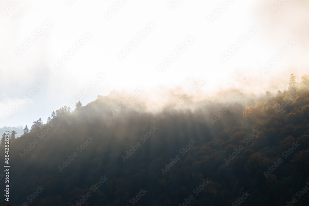Fog in winter mountains. Sun rays through haze on the top of evergreen mountains. Dramatic morning landscape in woods. Mist in the forest. Foggy morning in the hills. Mysterious nature.