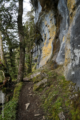 path in the mountains in new zealand