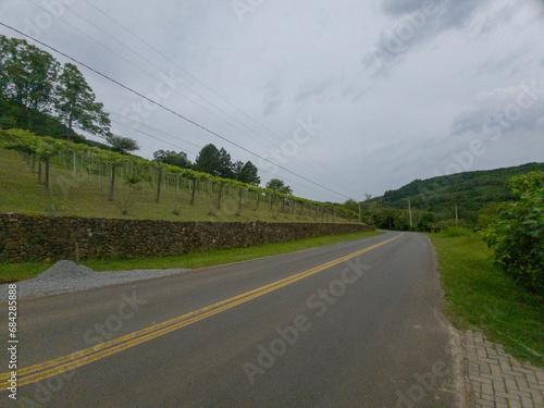 Foto Estrada e vinhedo na região serrana no Sul do Brasil