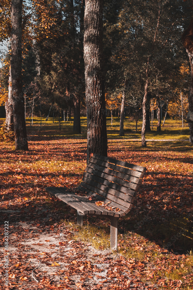 Park bench, natural park in the fall.