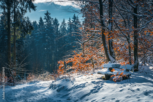 Winterwandern im Schnee, Winterlandschaft am Hohen Gras, im Habichtswald bei Kassel photo