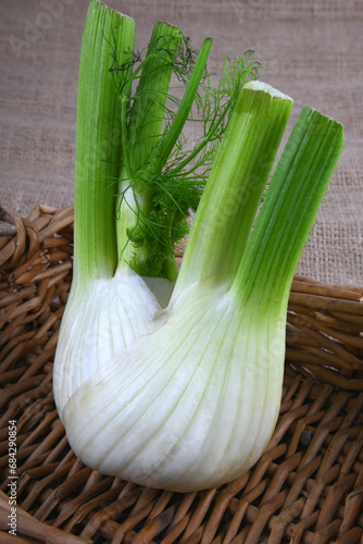 Close up of the Fennel