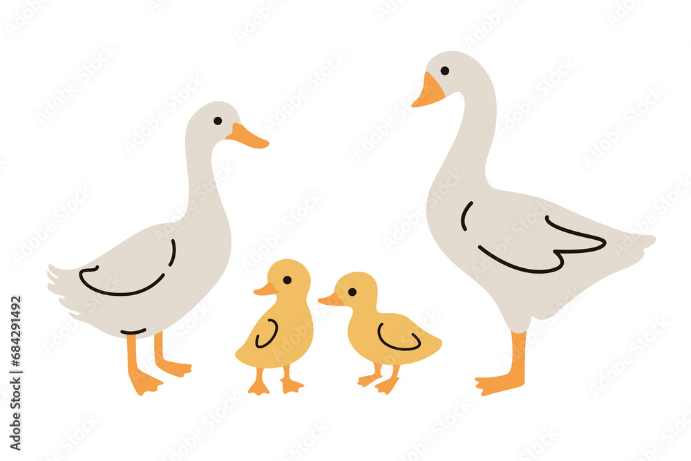 Domestic fowl. Vector contour illustration of goose, duck, and duckling. 