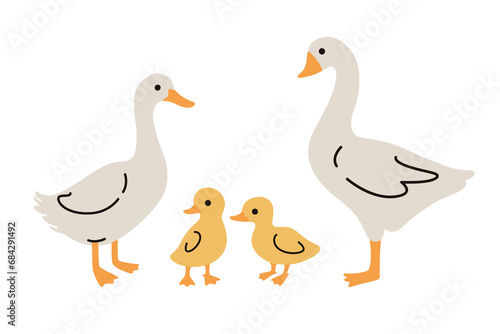Domestic fowl. Vector contour illustration of goose, duck, and duckling. 