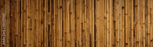 Arid bamboo stalks. Bamboo enclosure  ornamental picturesque backdrop. Bamboo pattern.