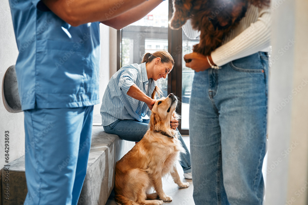 Animals for examination and treatment in the veterinary clinic Animals for examination and treatment in the veterinary clinic