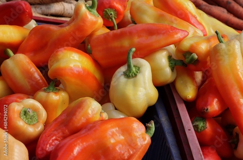 colorful various fruits of pepper vegetanle close up photo