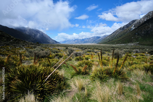 landscape in the mountains in new zealand