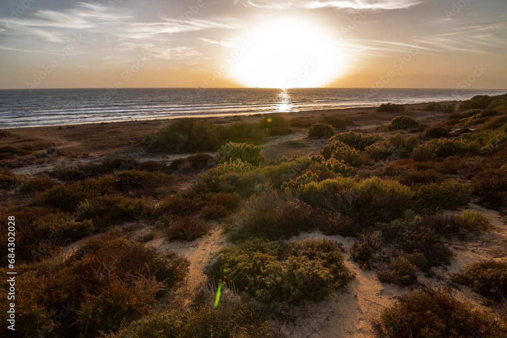 A sunset on the beach of Mazagon, Huelva, Spain. With vegetation and cacti.