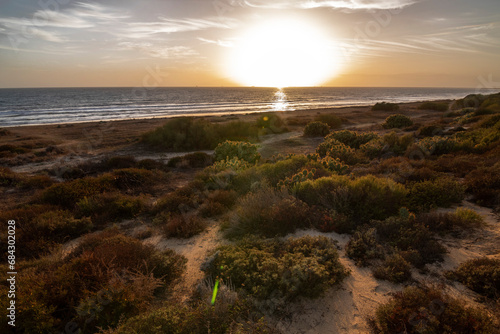 A sunset on the beach of Mazagon, Huelva, Spain. With vegetation and cacti. photo
