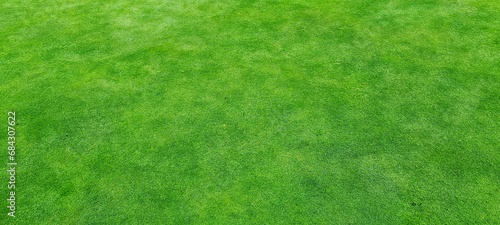 photo of a beautifully manicured lawn