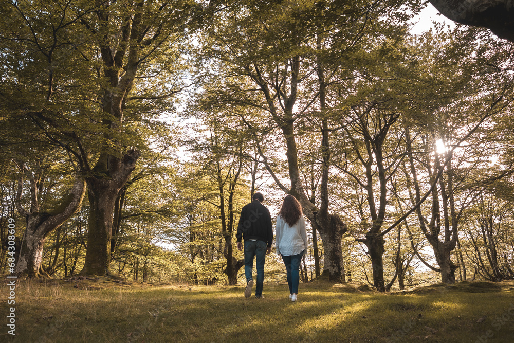 Couple holding hands and walking in the forest Couple holding hands and walking in the forest