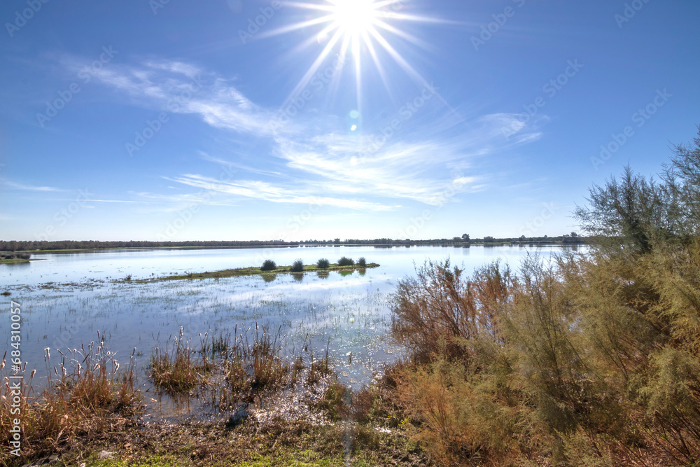 Immerse yourself in the serene beauty of the Rocio village marshes in Huelva, Spain, as the tranquil waters mirror the rustic charm of the surroundings, offering a captivating glimpse.
