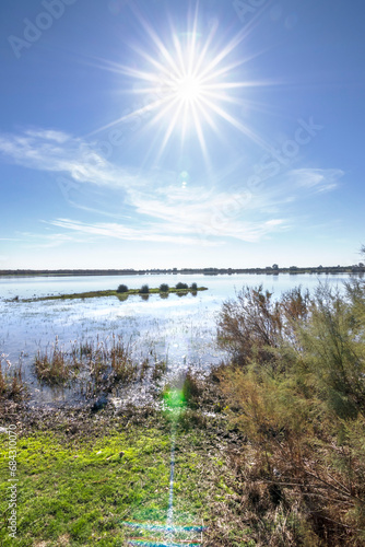 Immerse yourself in the serene beauty of the Rocio village marshes in Huelva  Spain  as the tranquil waters mirror the rustic charm of the surroundings  offering a captivating glimpse.