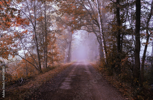 Jesienny mglisty krajobraz © Iwona