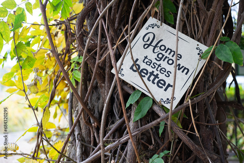 Sign with quaint saying Home Grown Tastes Better © Aleoli Photography