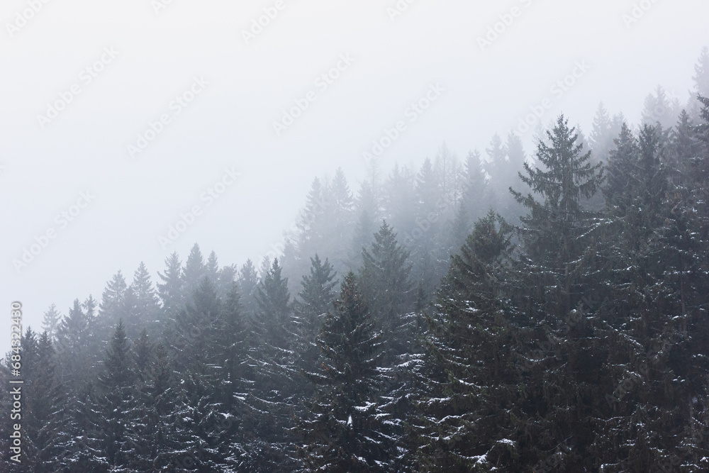 Foggy forest. Snowy mountain landscape.