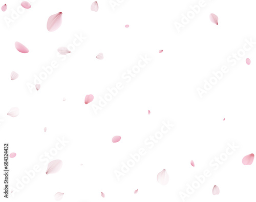 Realistic Cherry Petals