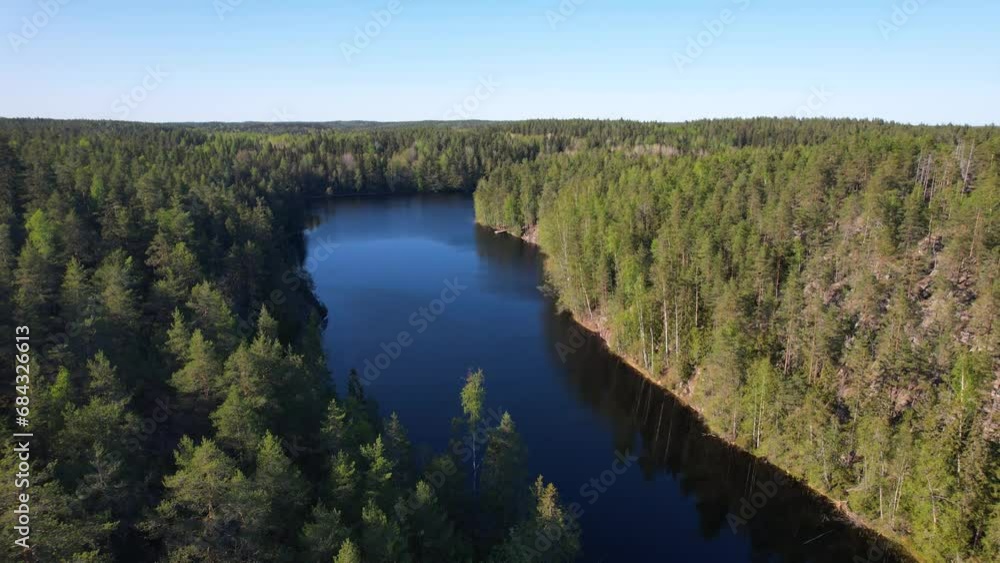 Aerial view to a descent into the forest by a forest lake in Finland 