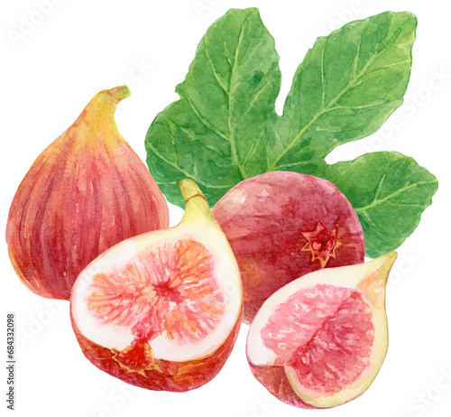 ４つのイチジクの実と葉　水彩画イラスト　熟した果肉　 photo