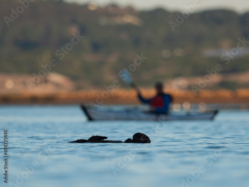 Otter silhouette with kayaker