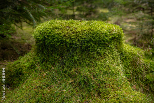 moss stump for sprites