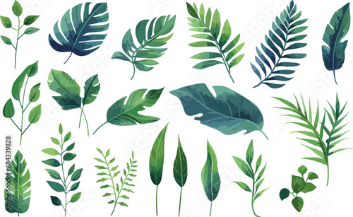 leaf nature watercolor illustration modern decoration background summer design floral green vector plant tropical