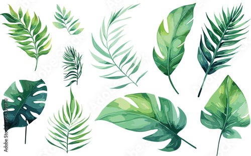 leaf nature watercolor illustration modern decoration background summer art design floral green vector plant tropical