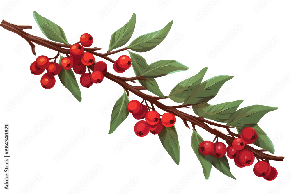 top of a spruce branches XMAS top of a spruce branches XMAS