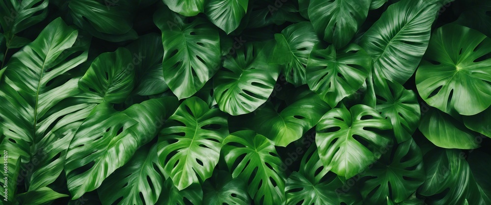 A lush bed of tropical leaves in varying shades of green, with highlights and shadows that give depth