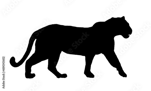 silhouette of jaguar, panther - vector illustration