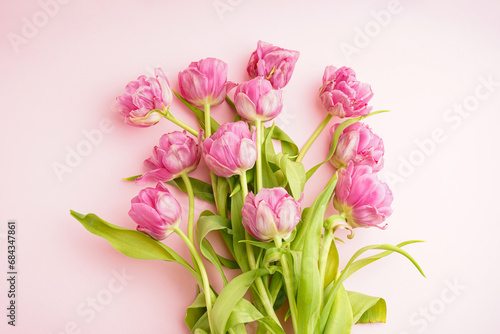 Fresh pink peony tulips on pastel pink background, close-up. Festive concept for Mother's Day or Valentines Day. Greeting card, flat lay, banner format.