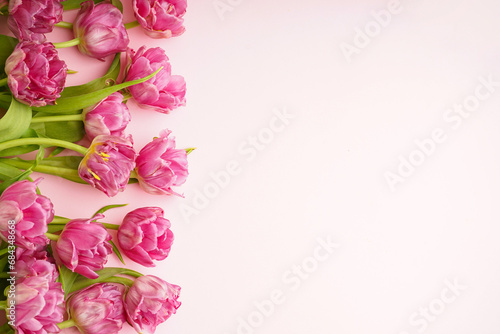 Fresh pink peony tulips on pastel pink background with space for text. Festive concept for Mother's Day or Valentines Day. Greeting card, flat lay, banner format.