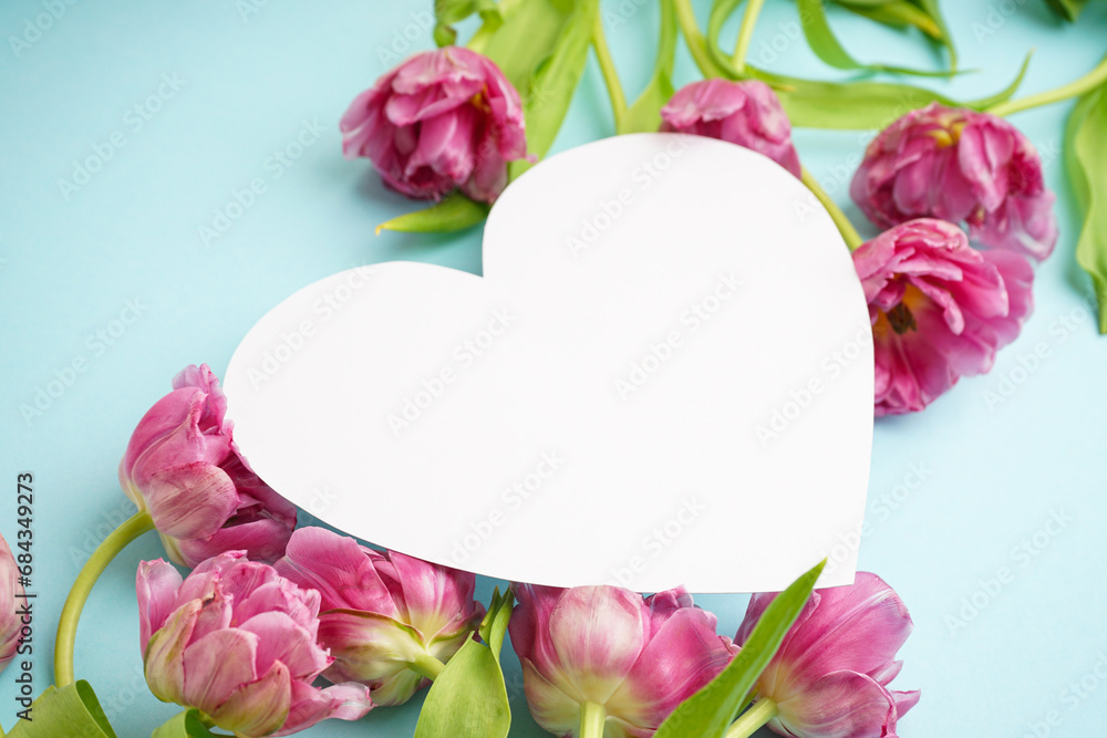 Beautiful bouquet of pink peony tulips along with a white card in the middle on a blue background. Festive concept for Mother's Day or Valentines Day.