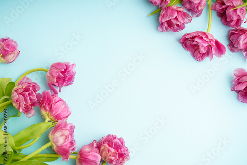 Fresh pink peony tulips on pastel blue background with space for text. Festive concept for Mother's Day or Valentines Day. Greeting card, top view, banner format.