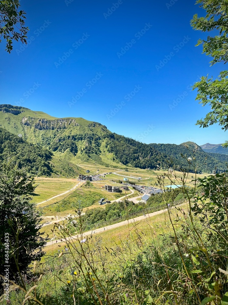 wild plants in front of a panorama of a mountain valley on a sunny summer day in the massif central in france
