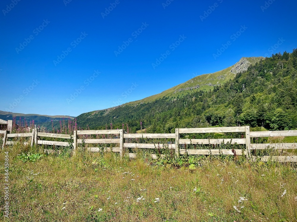 mountain landscape in summer with a view of a wooden fence in a field with natural and wild vegetation
